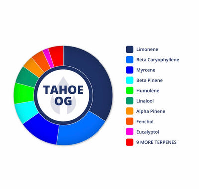 Tahoe OG Terpene Infused Tincture